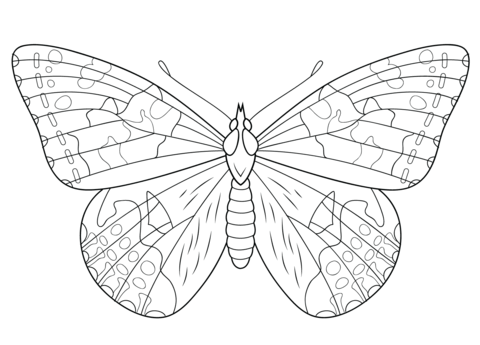 Painted Lady Butterfly Coloring Page